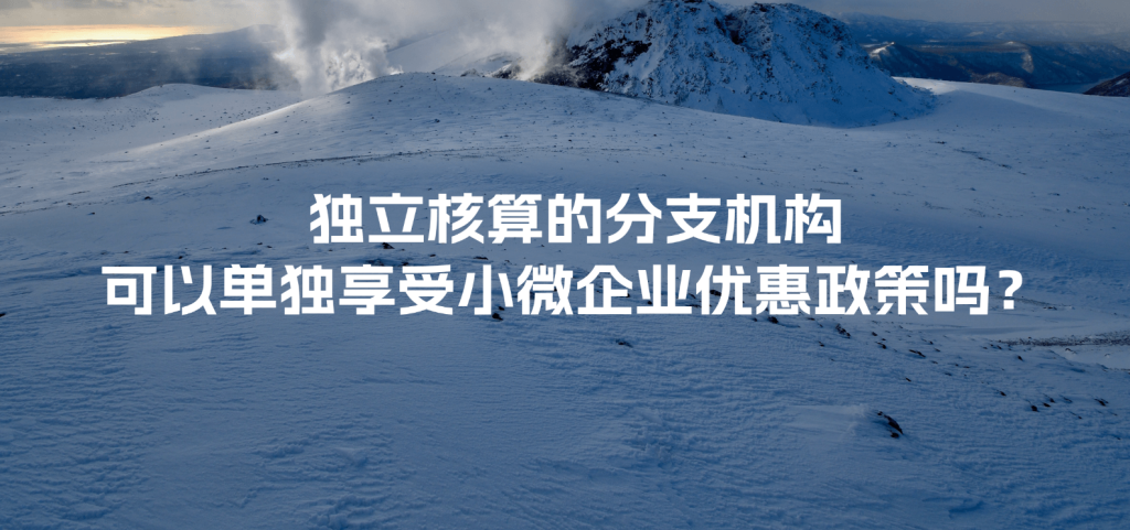 獨立核算的分支機構可以單獨享受小微企業優惠政策嗎？